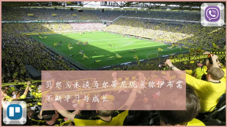 贝尔戈米谈马尔蒂尼观点称伊布需不断学习与成长